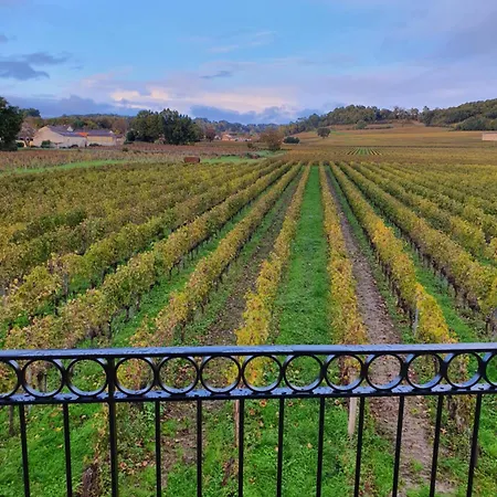 D'hote & Chateau Le Conte - Emilion Guest house 4*