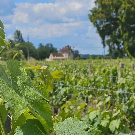 D'hote & Chateau Le Conte - Emilion 4* サン・テミリオン