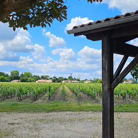 Du Château Le Conte Au Coeur Du Vignoble De Emilion 4*