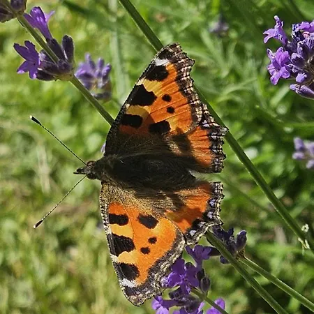 Du Château Le Conte Au Coeur Du Vignoble De Emilion 4*