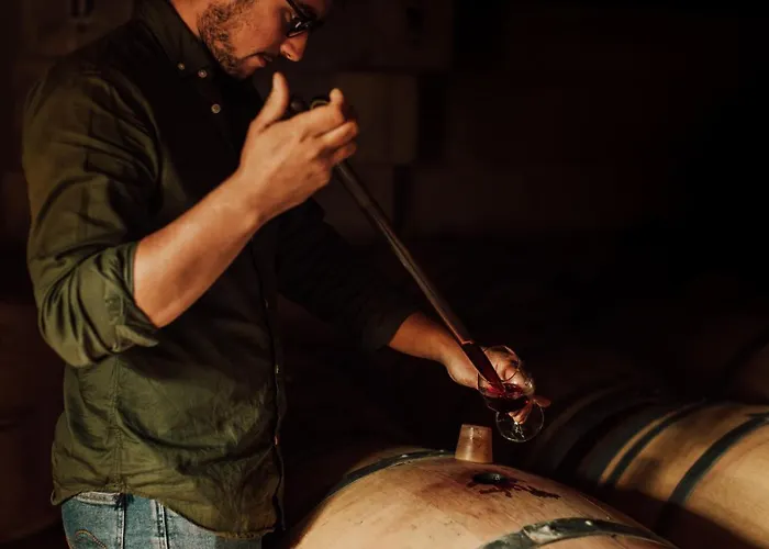 Maison d'hôtes Du Château Le Conte Au Coeur Du Vignoble De Emilion 4*