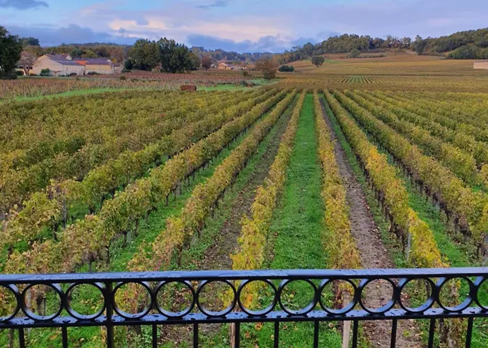 Du Château Le Conte Au Coeur Du Vignoble De Emilion Maison d'hôtes 4*