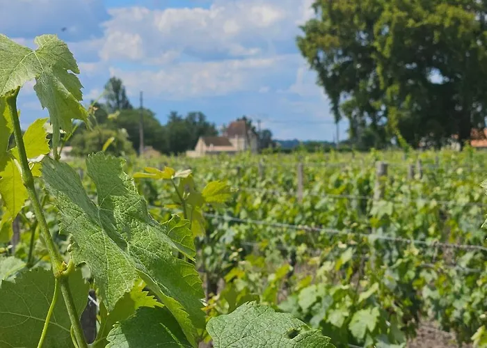 D'hote & Chateau Le Conte - Emilion 4* Saint-Émilion