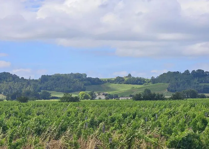 D'hote & Chateau Le Conte - Emilion Gæstehus 4*