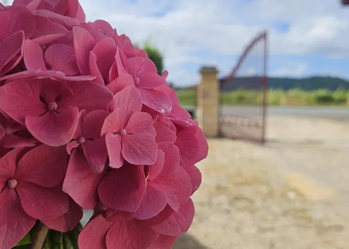 D'hote & Chateau Le Conte - Emilion Gæstehus 4*